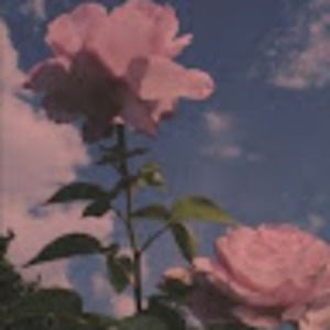 Meet your Posher, Briana